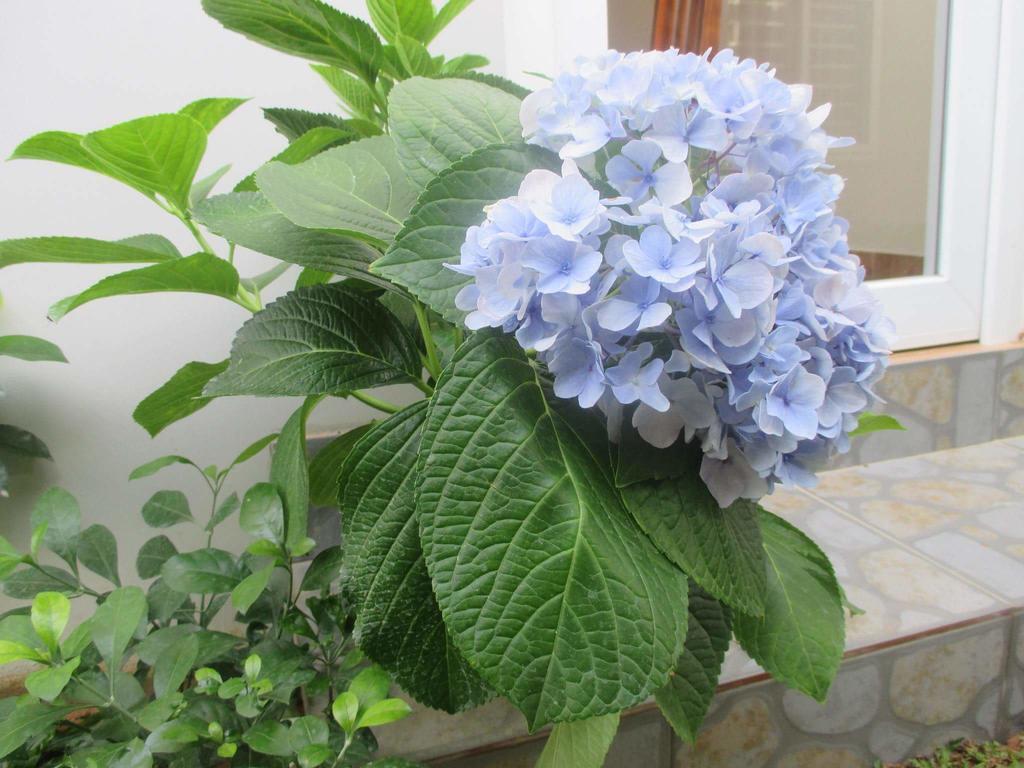 Manh Duyen Garden Homestay Phu Quoc Bagian luar foto