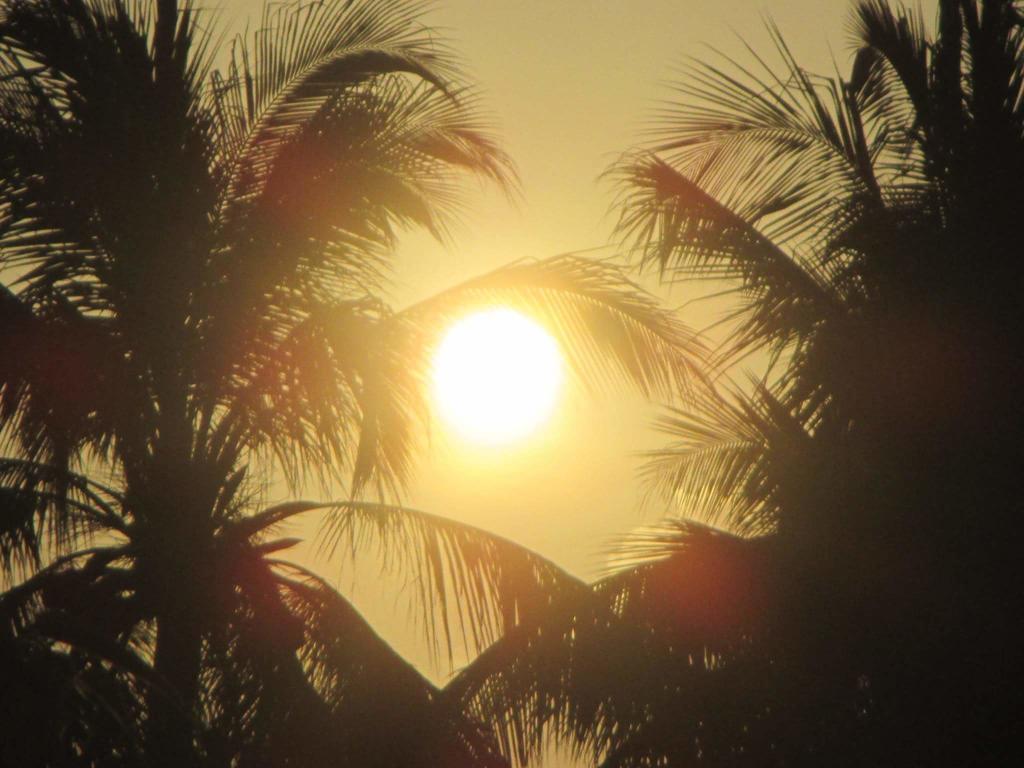 Manh Duyen Garden Homestay Phu Quoc Bagian luar foto