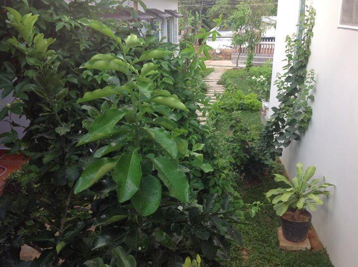 Manh Duyen Garden Homestay Phu Quoc Bagian luar foto