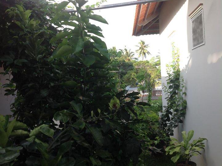 Manh Duyen Garden Homestay Phu Quoc Bagian luar foto